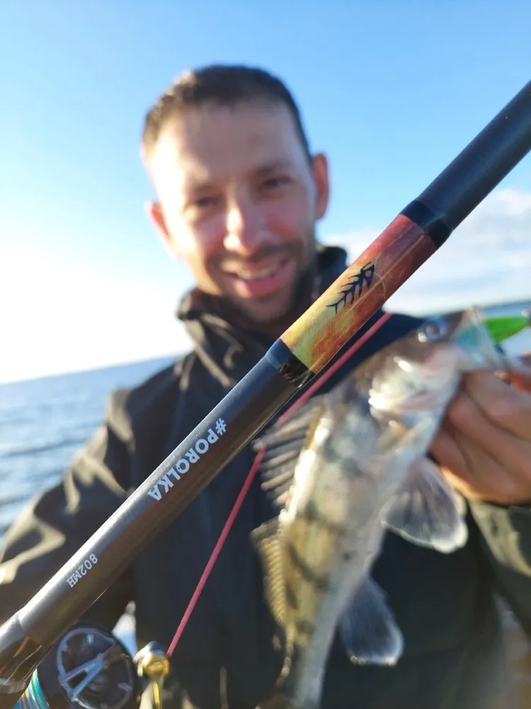 спиннинг snastizdraste porolka 802mh 2,44m 10-45g #0.8-1.5 fast