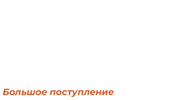 Без названия.png